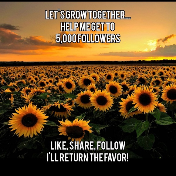Disney Other - Follow game to 5,000 followers